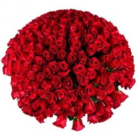 «Огромный букет роз»
